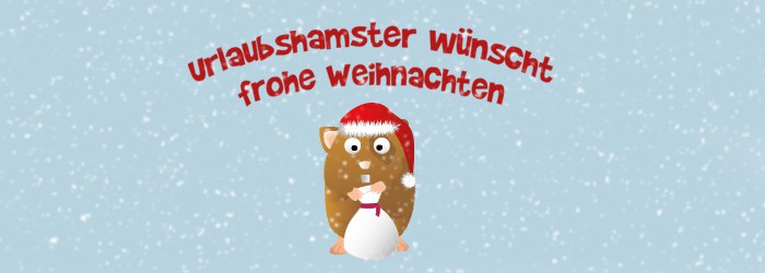 Frohe Weihnachten & ein frohes Fest!