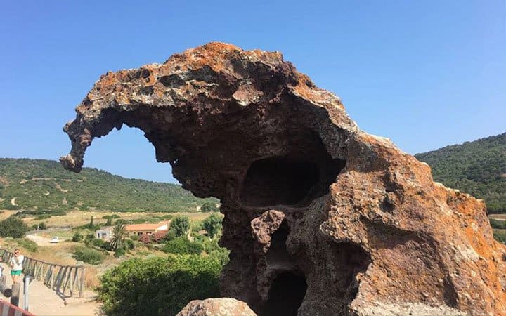 Rocca Dell Elefante 2 1