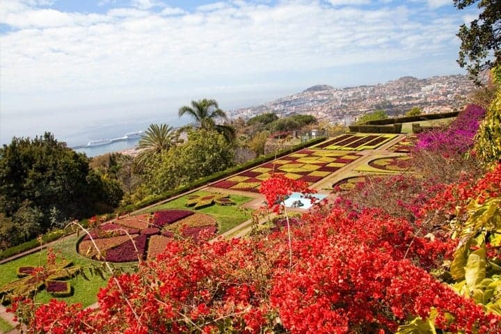 Madeira Urlaub Angebot